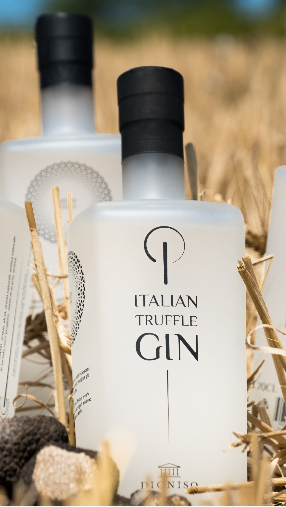 ITALIAN TRUFFLE GIN -  La grande sfida di creare un gin partendo da un'infusione di tartufo per arrivare ad un prodotto raffinato ed elegante in grado di raccontare in chiave innovativa una vera eccellenza italiana.