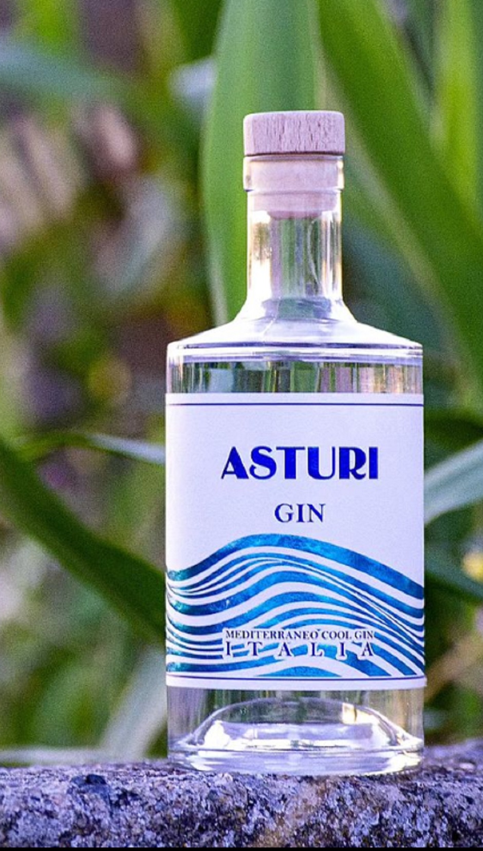 ASTURI - Asturi Gin si ispira alle meraviglie del territorio calabrese, le colline, le coste e le azzurre onde del mediterraneo che lo circondano.